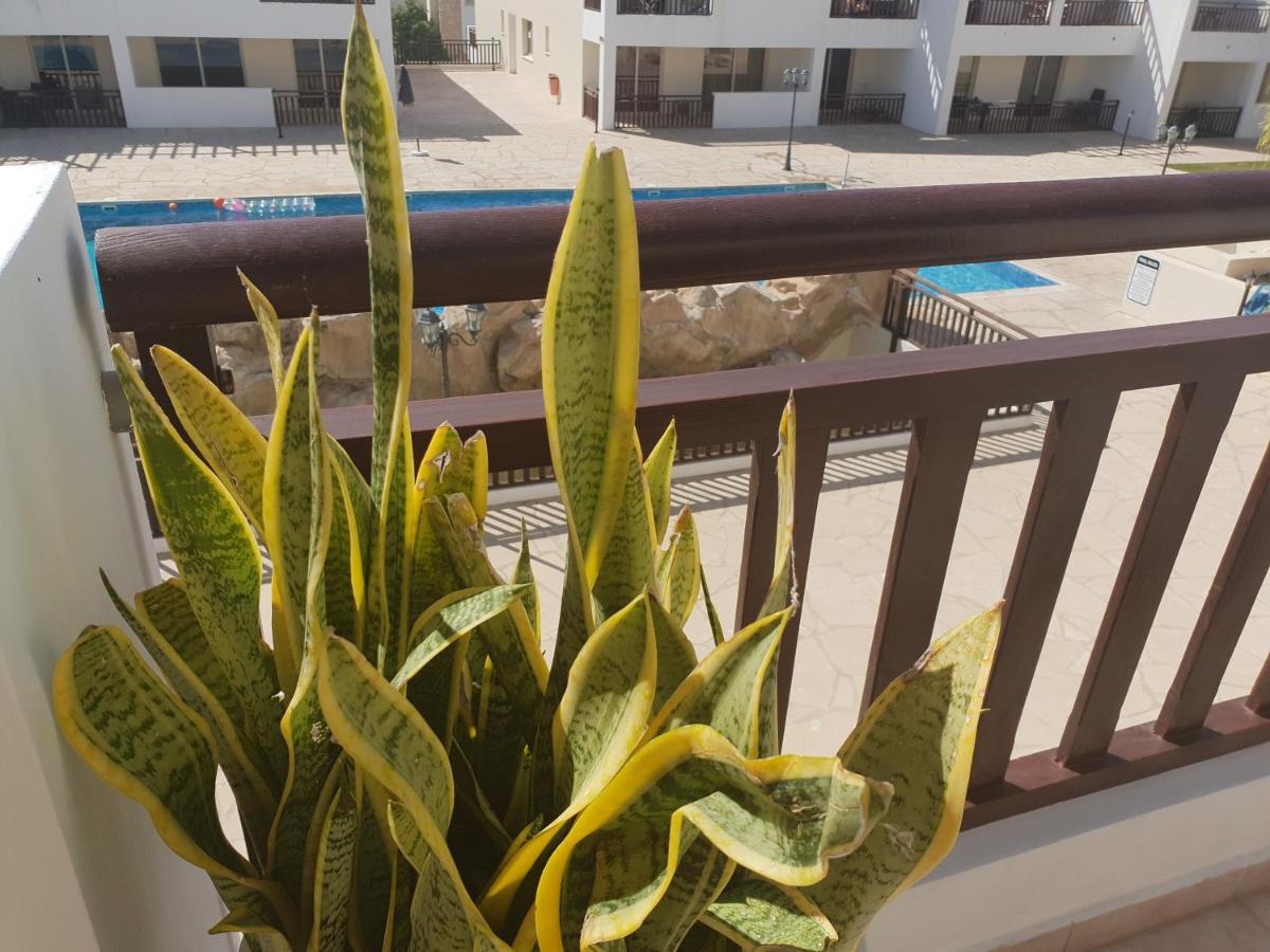 Stunning Apartment C106 With Balcony Looking Over Pool Peja Zewnętrze zdjęcie